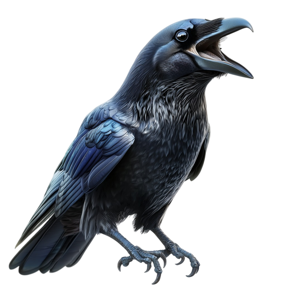 Mysterious black raven perched ominously a bird associated mystery On Transparent Background png