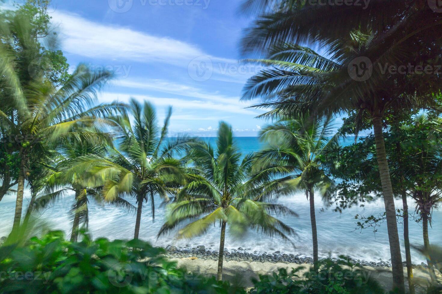 Tropical palm trees on the beach in the tropics photo