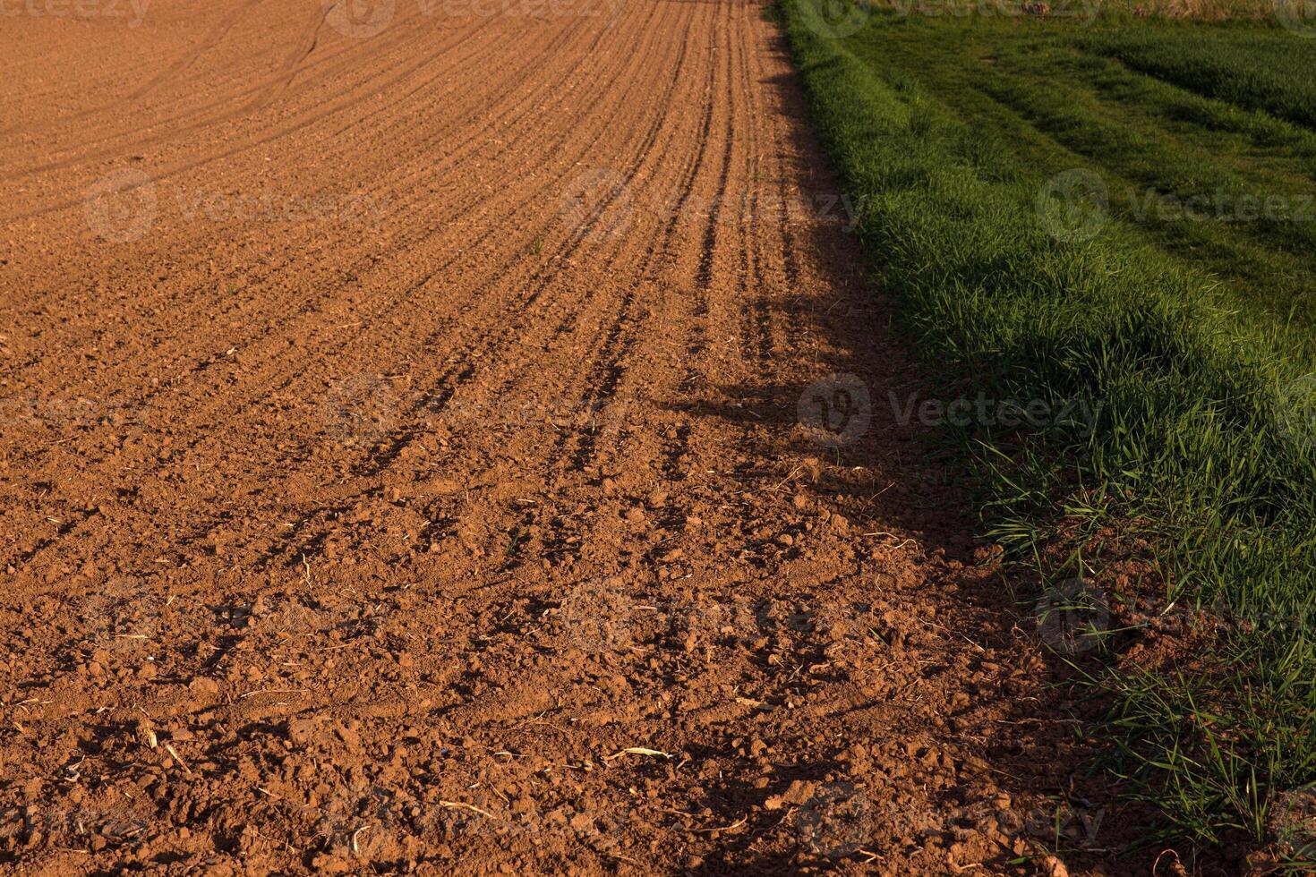 Visual contrast between cultivated soil and fresh green grass in spring field. Boarder between freshly plowed farmland and vibrant meadow. 24 photo