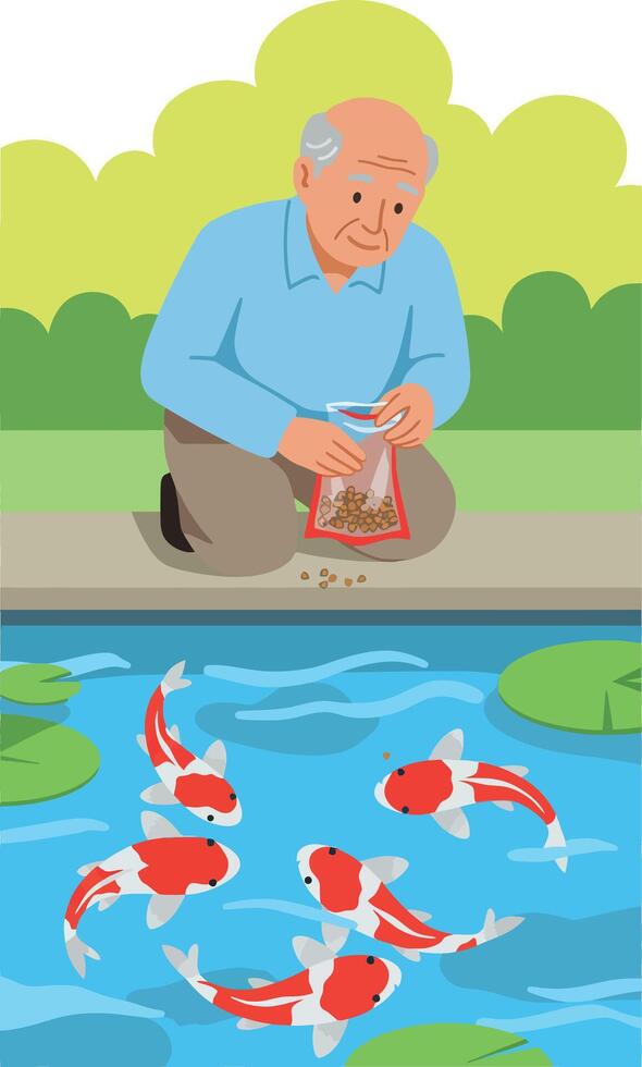 Elderly man feeding koi fish in pond with greenery background illustration vector