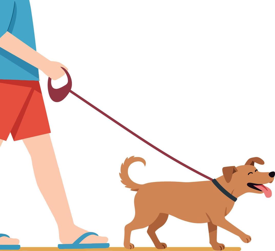 Person Walking Brown Dog on Leash in Casual Summer Clothes Illustration vector