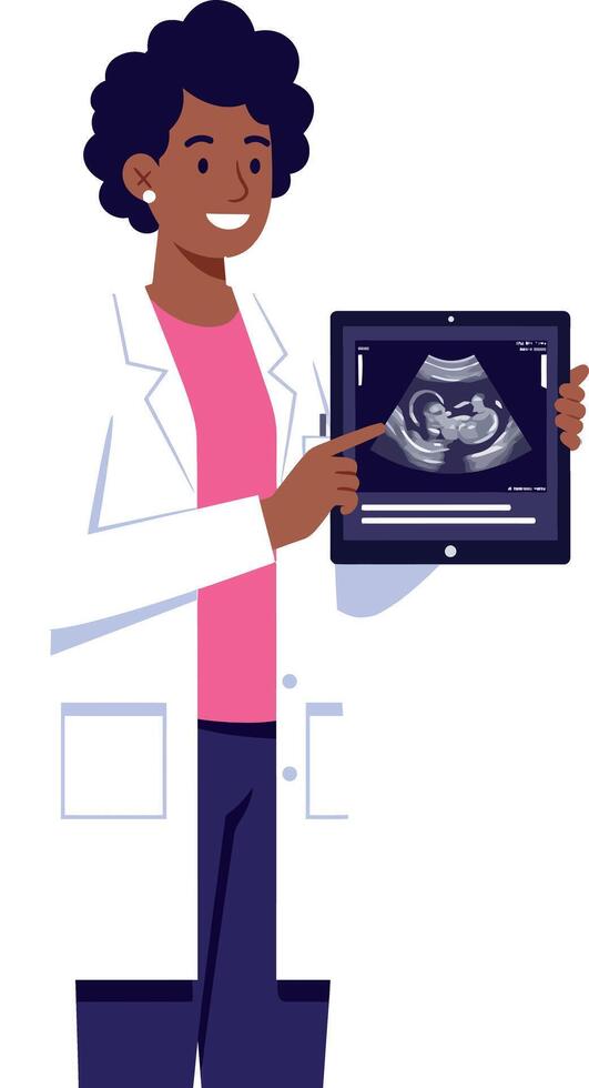 Female doctor showing ultrasound scan image illustration medical professional pregnancy care health vector