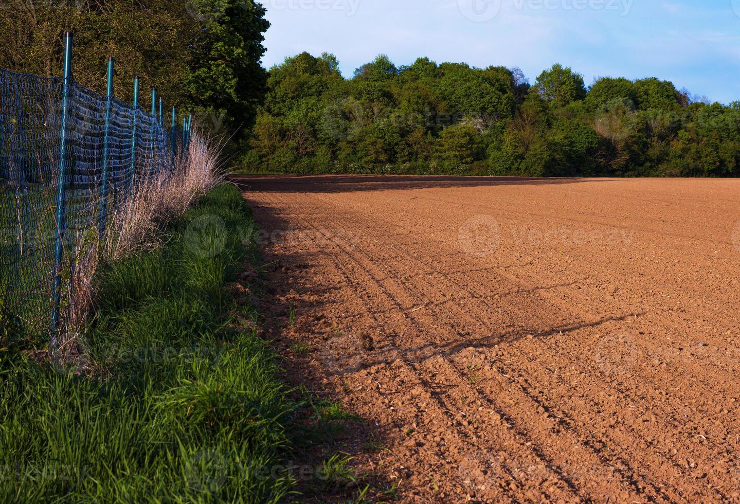 A freshly plowed agricultural field stretches along the edge of a green forest in spring, with a blue metal fence marking the boundary. Contrast between cultivated land and wild nature photo