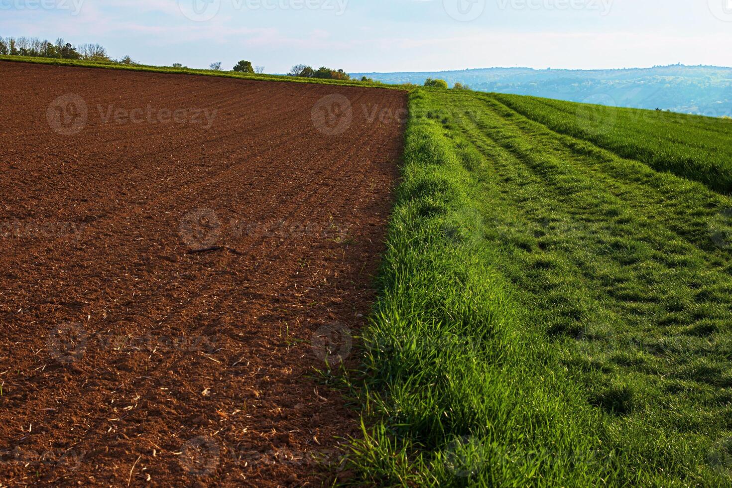 Contrast of freshly plowed soil, lush green grass in a rural landscape. Plowed field bordering green field under blue slightly cloudy sky 16 photo