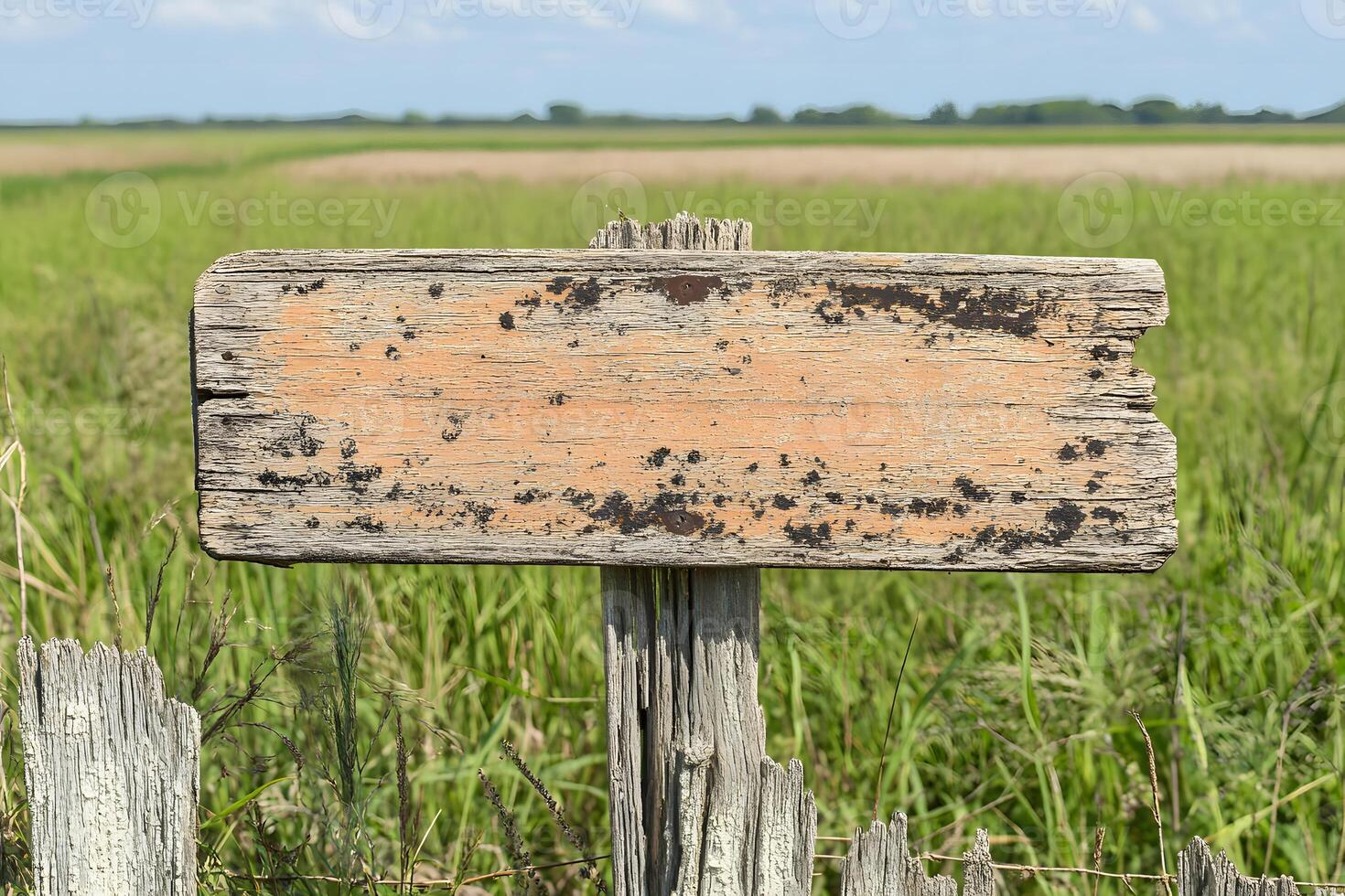 Weathered Wooden Sign Surrounded by Lush Green Grass and Open Fields Under a Bright Blue Sky on a Calm Day in Rural Landscape photo