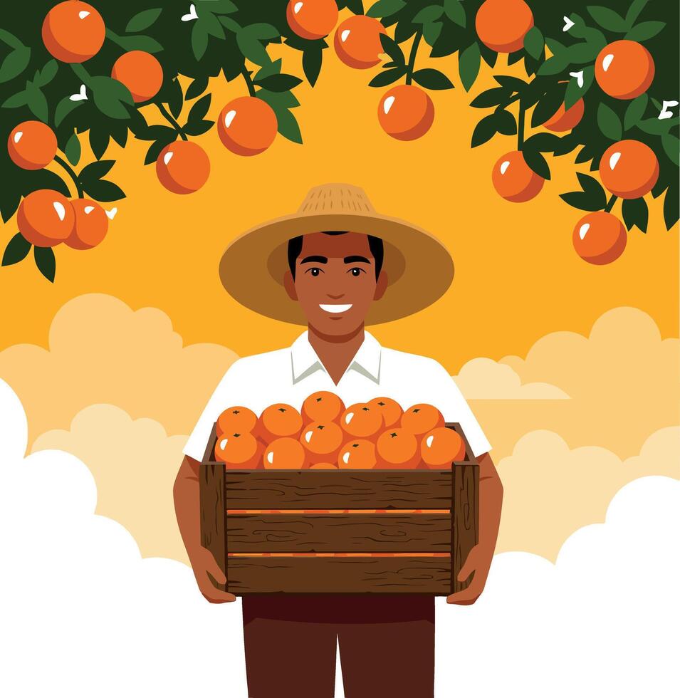Farmer harvesting fresh oranges carrying wooden crate with ripe fruit illustration vector