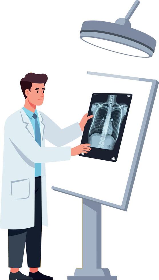 Male doctor examining lung x-ray medical diagnosis illustration vector