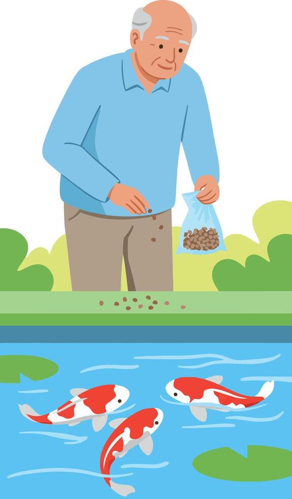Elderly man feeding koi fish in pond outdoor nature scene illustration vector