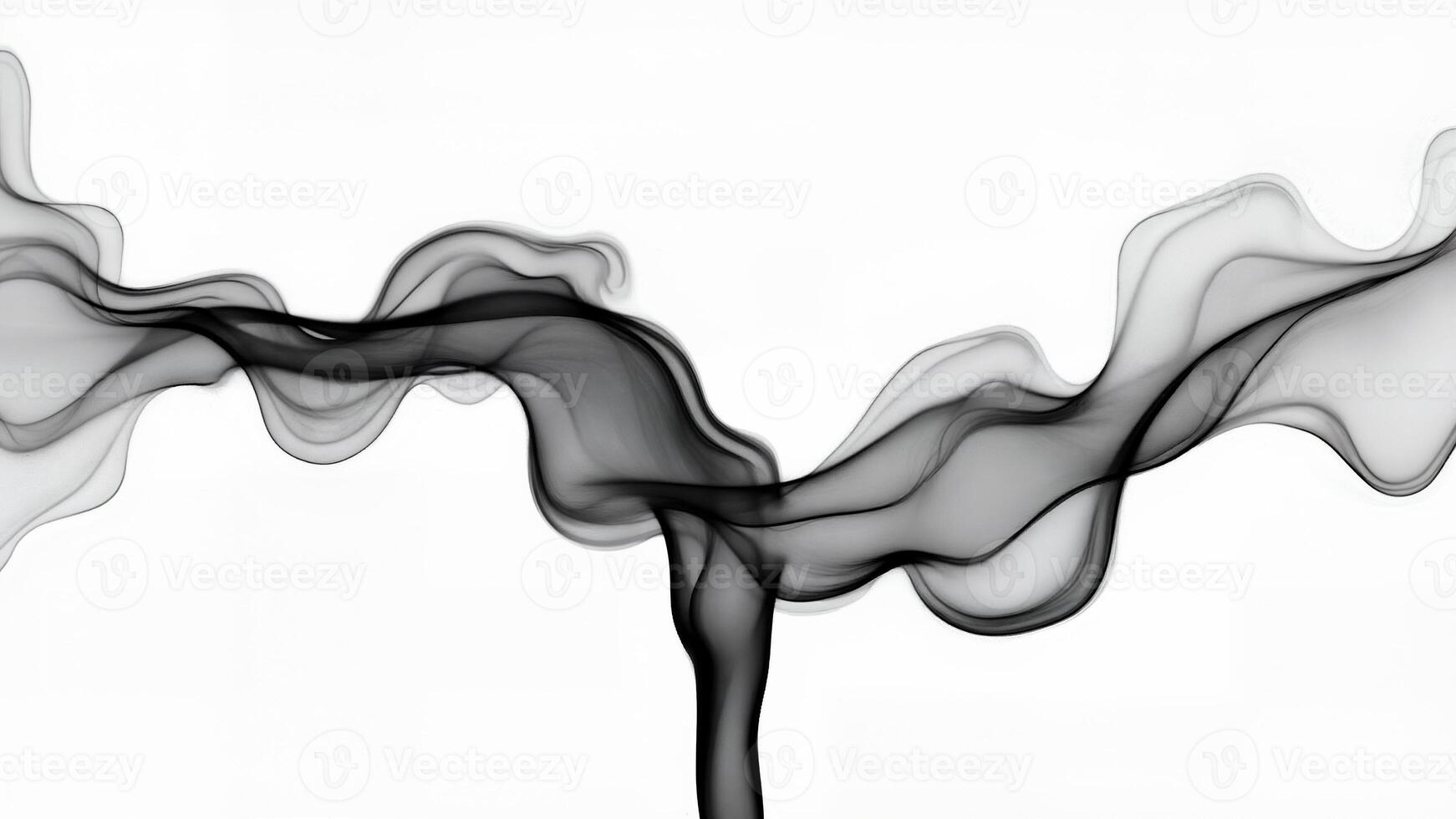 Abstract Black Smoke Isolated On White Background photo