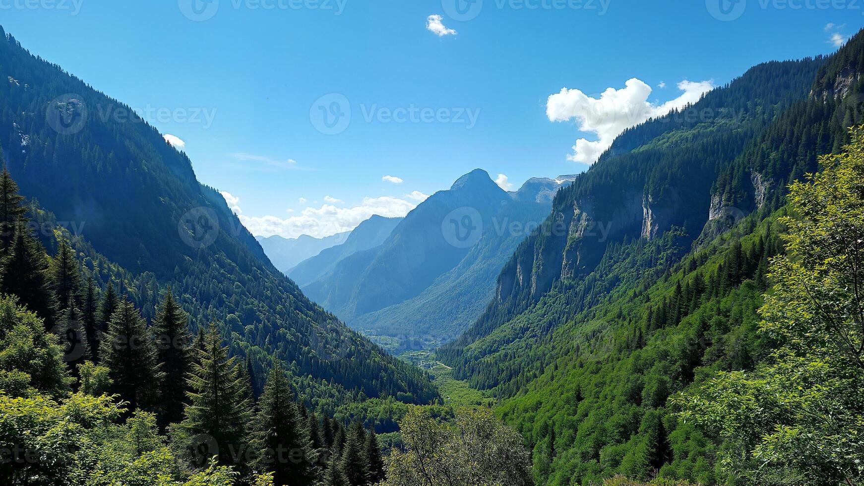 Coniferous Trees in Yosemite Mountain Valley photo