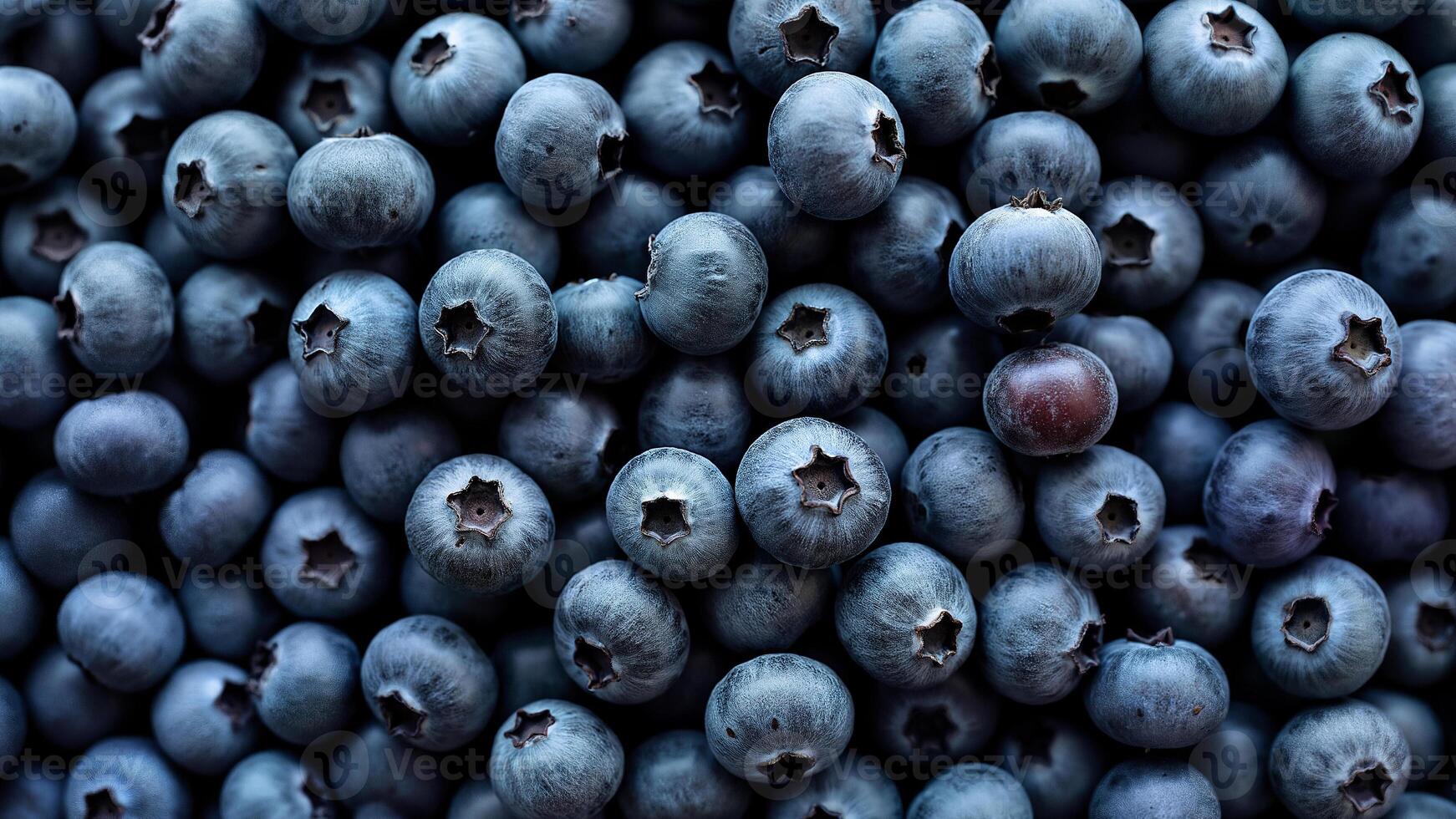 Fresh Blueberries Background with Copy Space photo