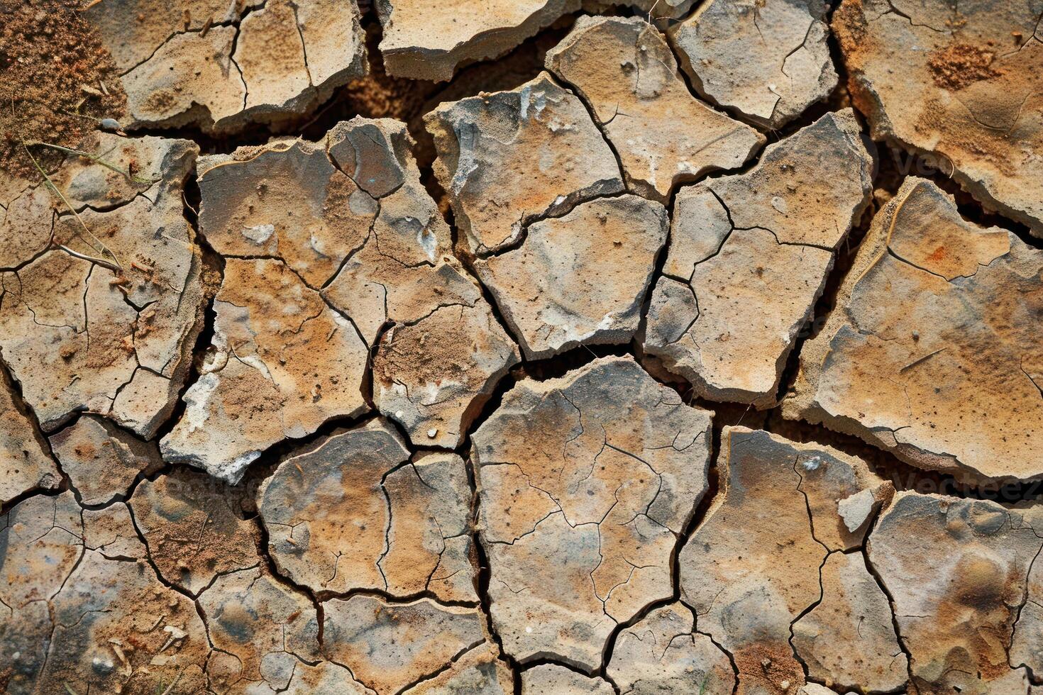 The cracked earth is showing the cracks in the ground photo
