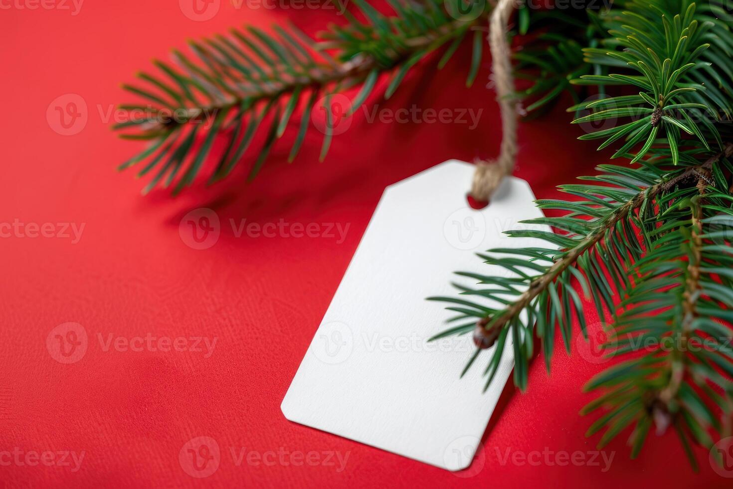 A white tag hanging from a branch of fir tree photo