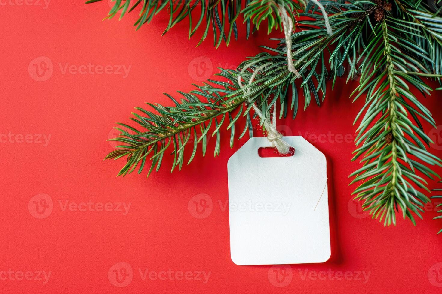 Christmas tree branch with tag on red background photo
