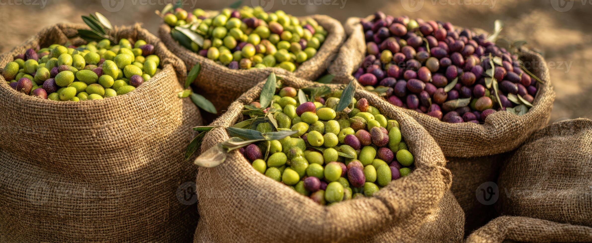 The vibrant assortment of fresh olives in rustic burlap sacks. photo
