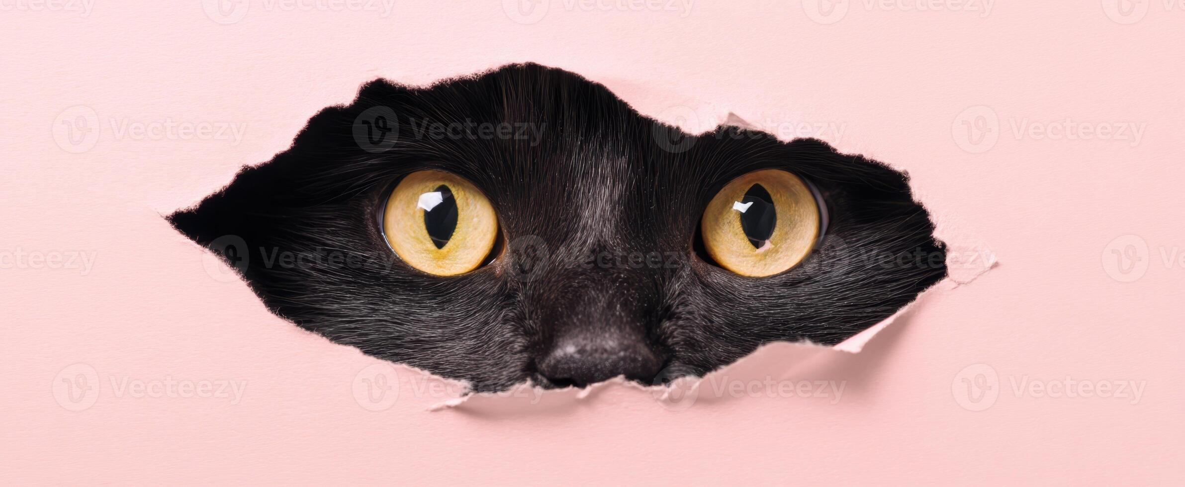 The Curious Cat Peeking Through a Pink Wall Hole photo