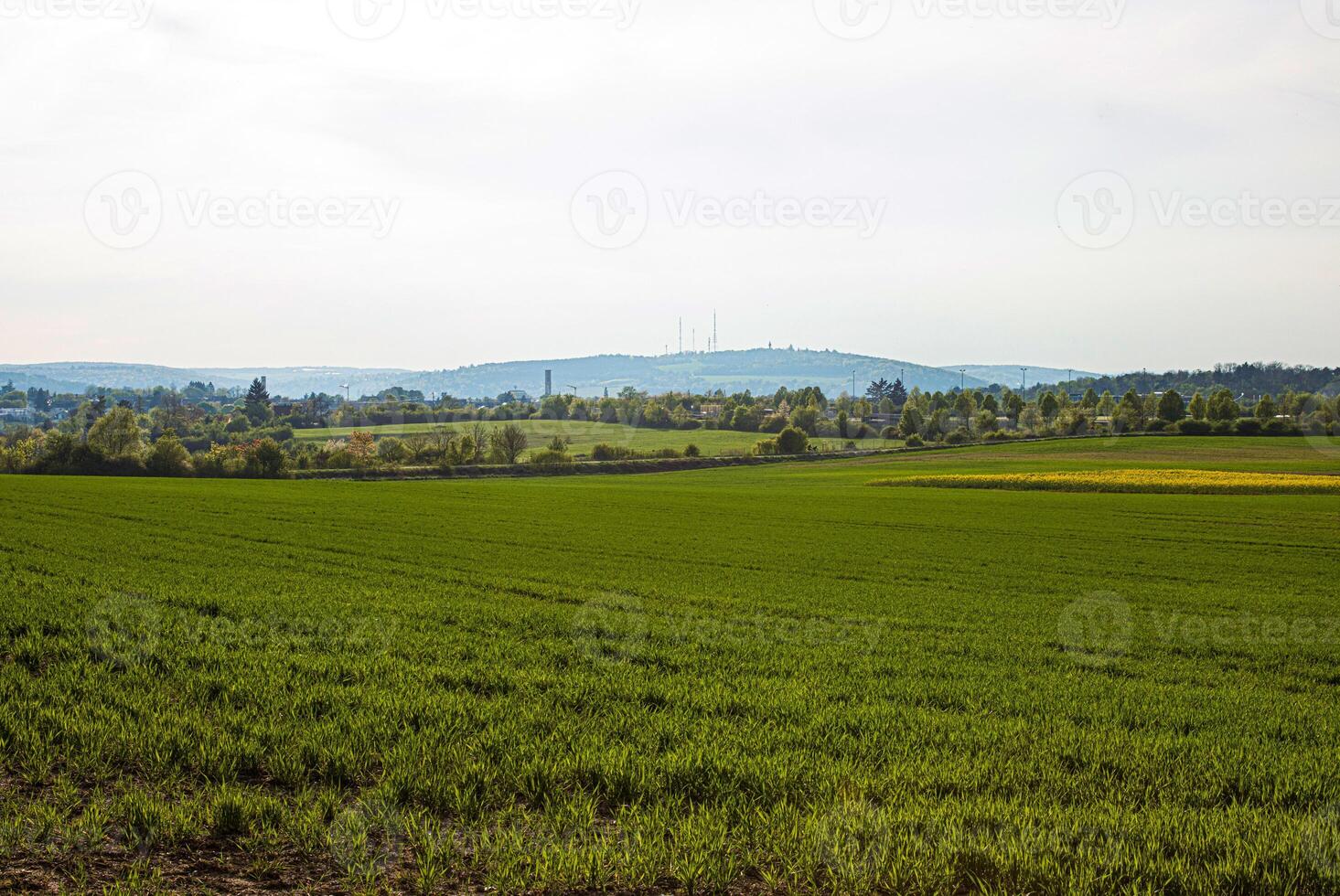 Rural landscape with green meadows, rapeseed fiels, distant hills, a forest, and a sky with light clouds. Wurzburg surroundings, Bavaria, Germany 12 photo