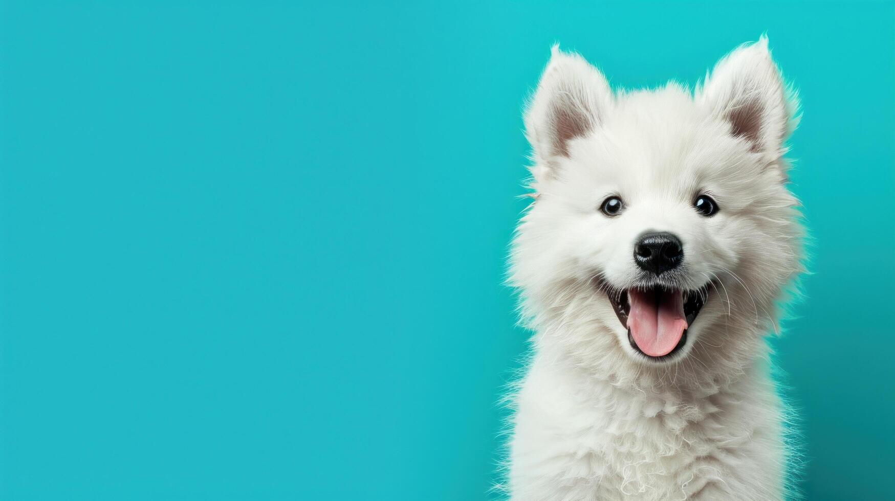 Adorable White Puppy Smiling on Turquoise Background, Happy and Playful Dog photo