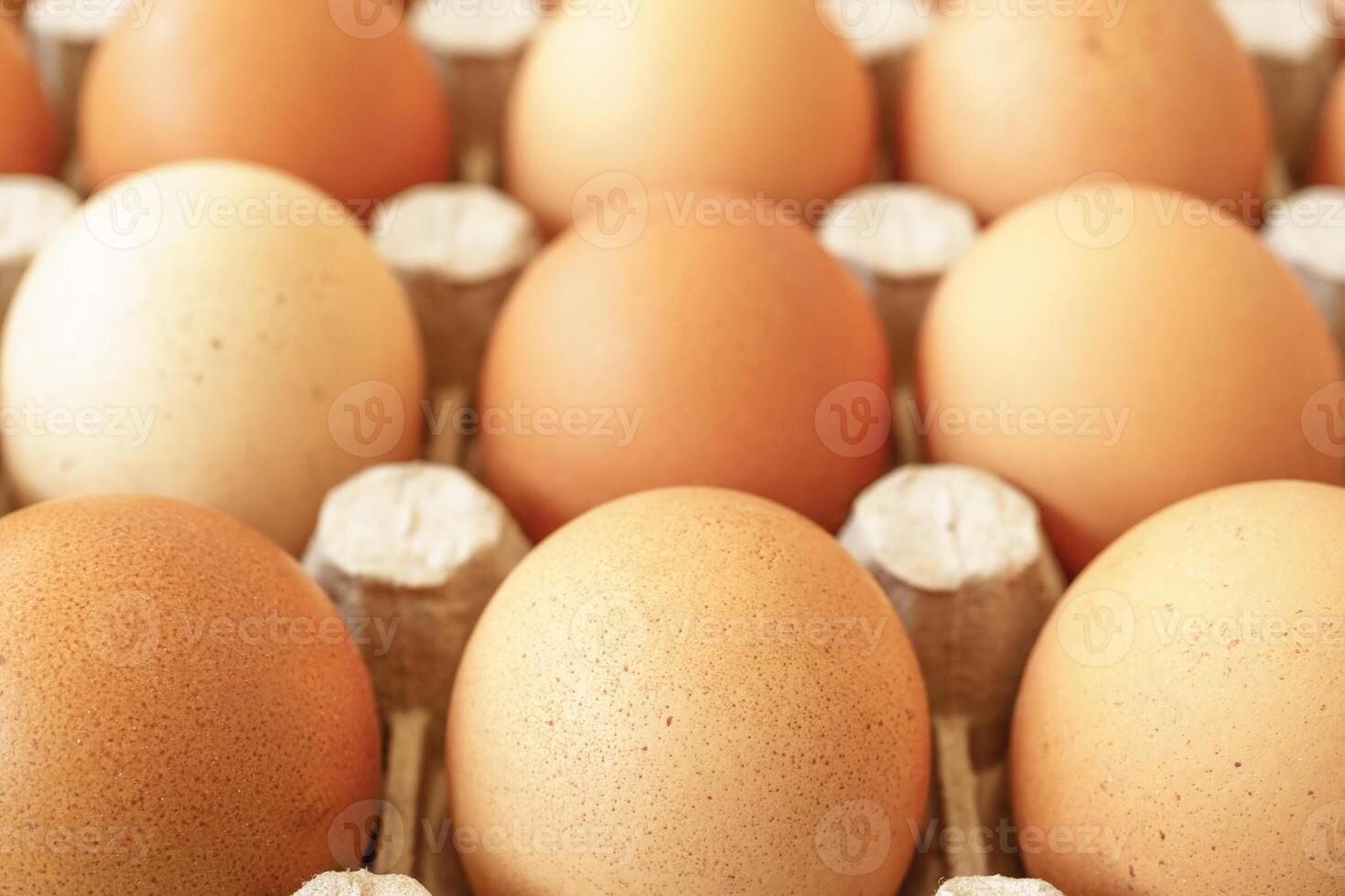 Brown chicken eggs on a rustic wood background for farm and food concepts and healthy eating or cooking recipes and ingredients advertising. photo