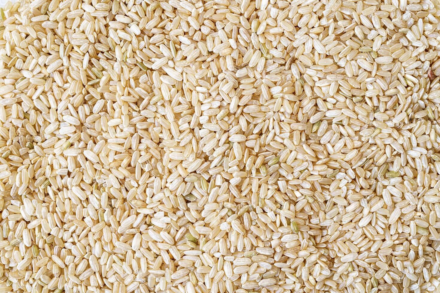 Full frame close up flat lay texture of brown rice for food and nutrition background healthy eating and cooking concept with copy space pattern of organic grains. photo