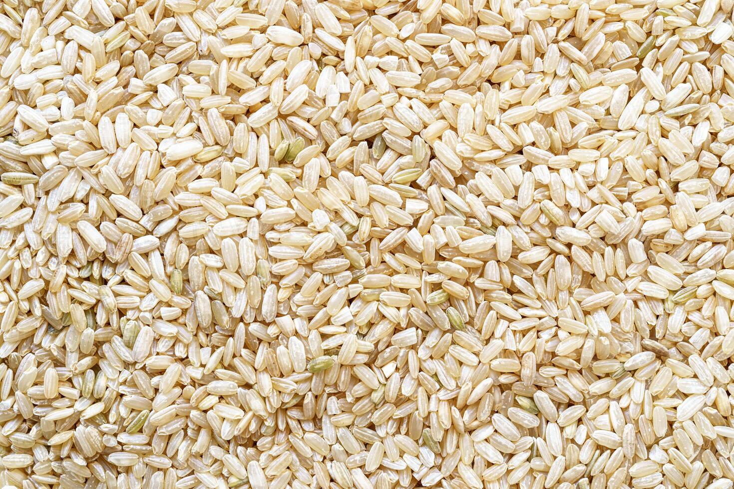 Full frame cflat lay texture of brown rice for food and nutrition background healthy eating and cooking concept with copy space pattern of organic grains. photo
