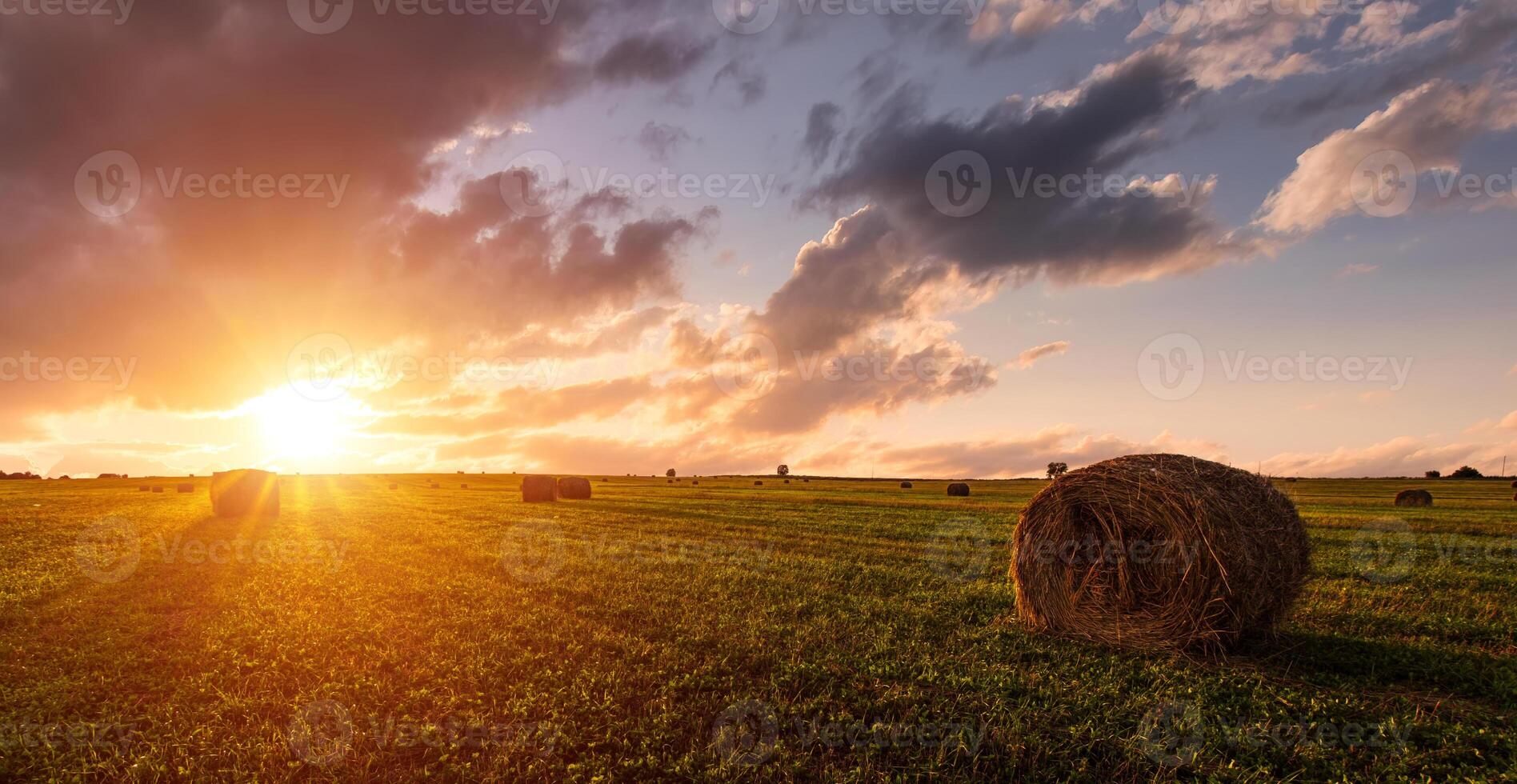 Scenic sundown over hay bales in a field. Golden light bathes the landscape, creating a tranquil scene. For agriculture, travel and inspiring greeting card designs. photo