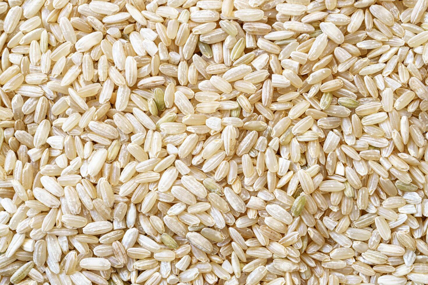 Full frame close up flat lay texture of rice for food and nutrition background healthy eating and cooking concept with copy space pattern of organic grains. photo