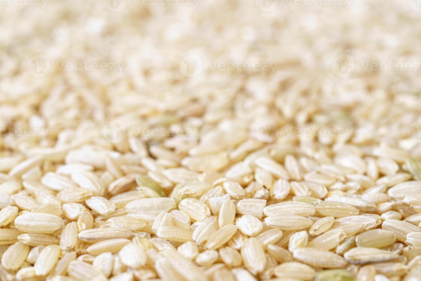 Texture of brown rice for food and nutrition background healthy eating and cooking concept with copy space pattern of organic grains. photo