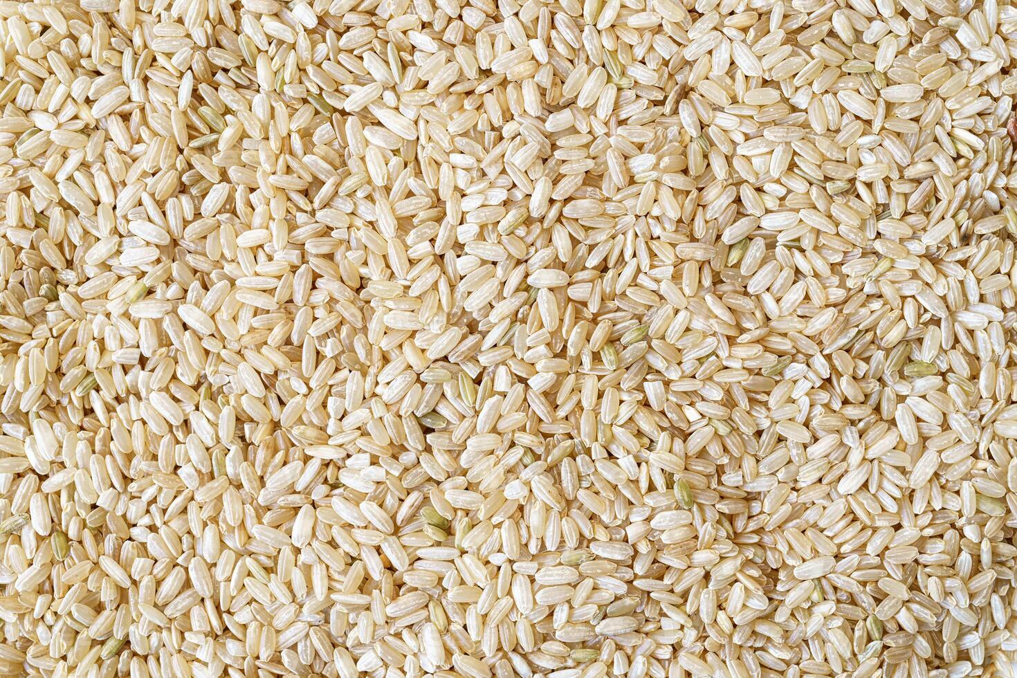 Close up texture of brown rice for food and nutrition background healthy eating and cooking concept with copy space pattern of organic grains. photo