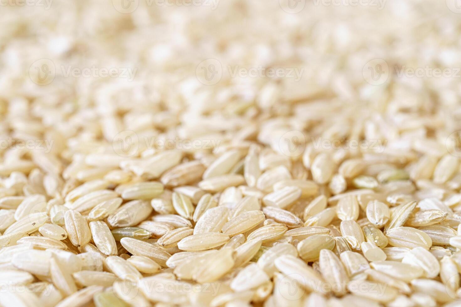 Full frame texture of brown rice for food and nutrition background healthy eating and cooking concept with copy space pattern of organic grains. photo