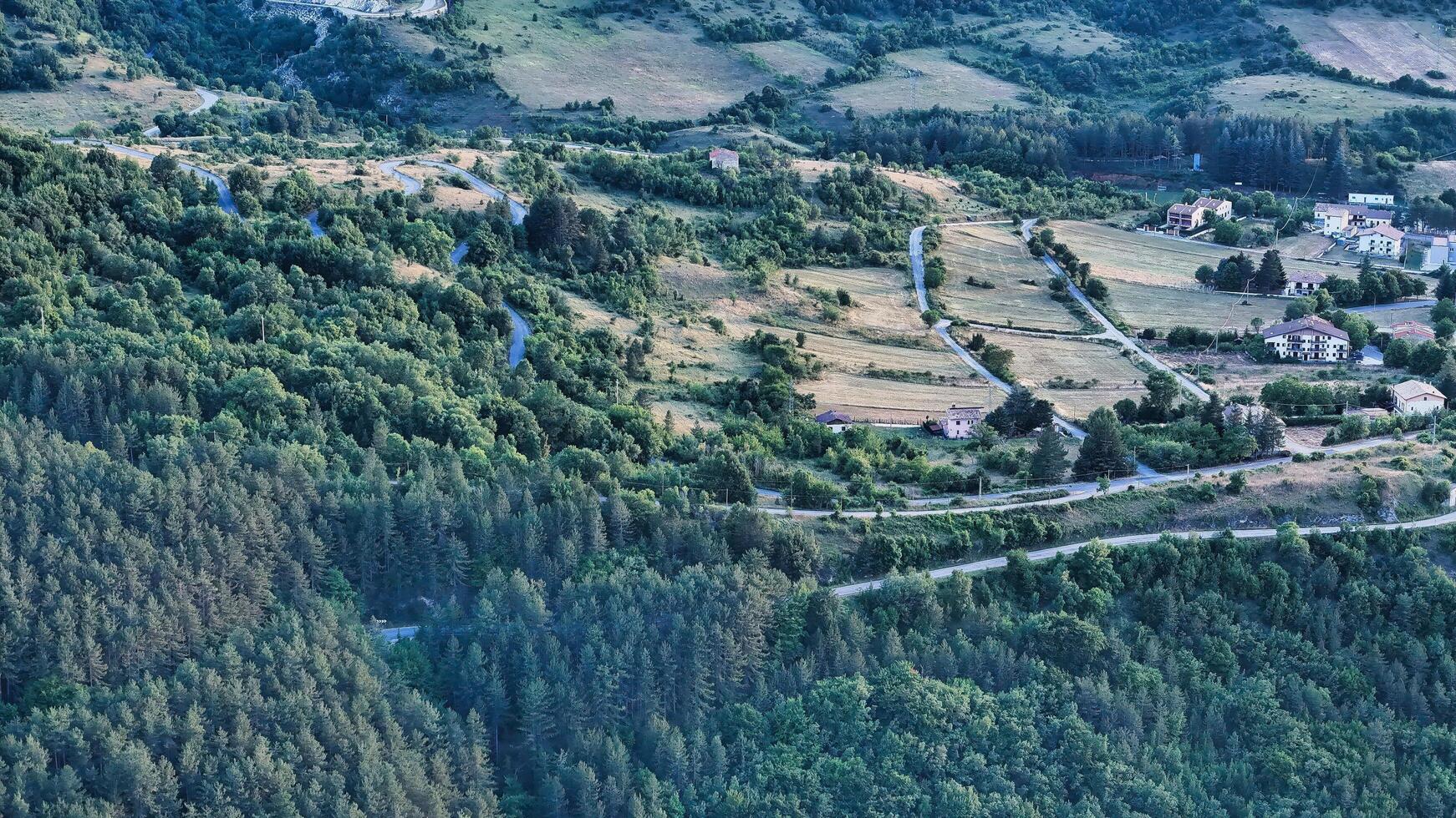 aerial view of a dense forest showcasing the vibrant greens of nature bathed in the soft light of early morning photo