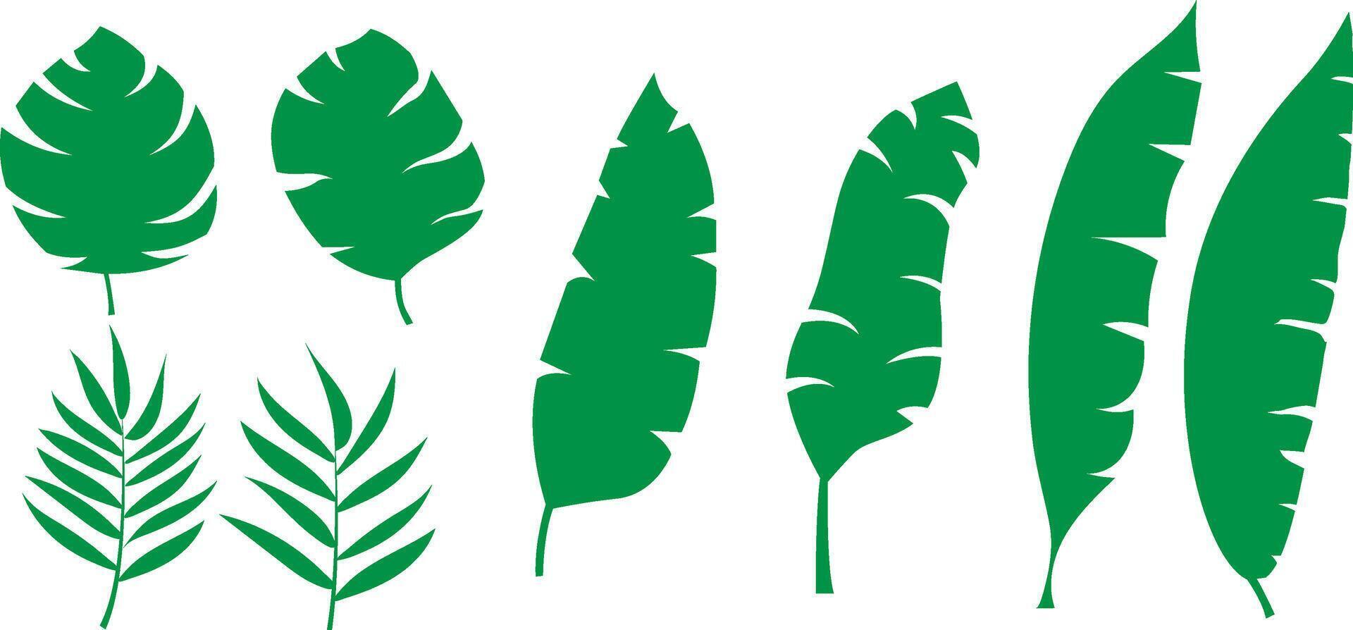 Set of tropical foliage collection. Flat design leaf elements vector