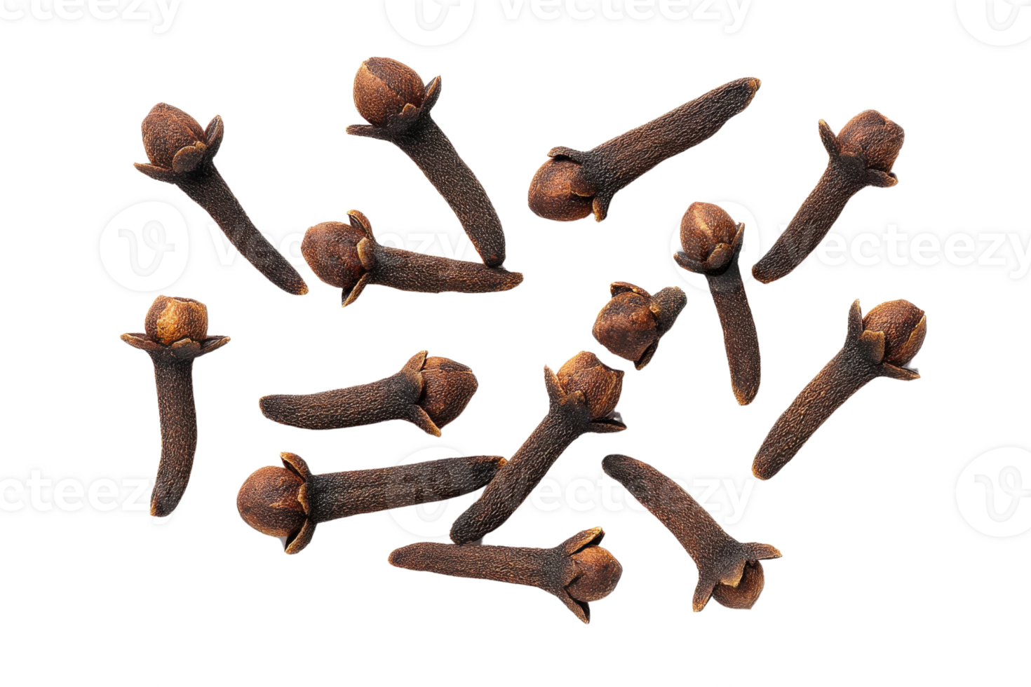 Aromatic whole cloves spice scattered on a transparent background , showcasing culinary ingredient and traditional medicine png