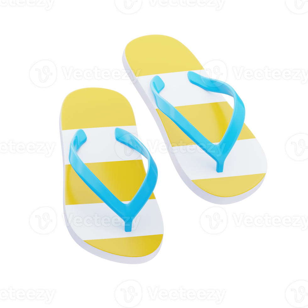 Flip Flops 3D Icon png