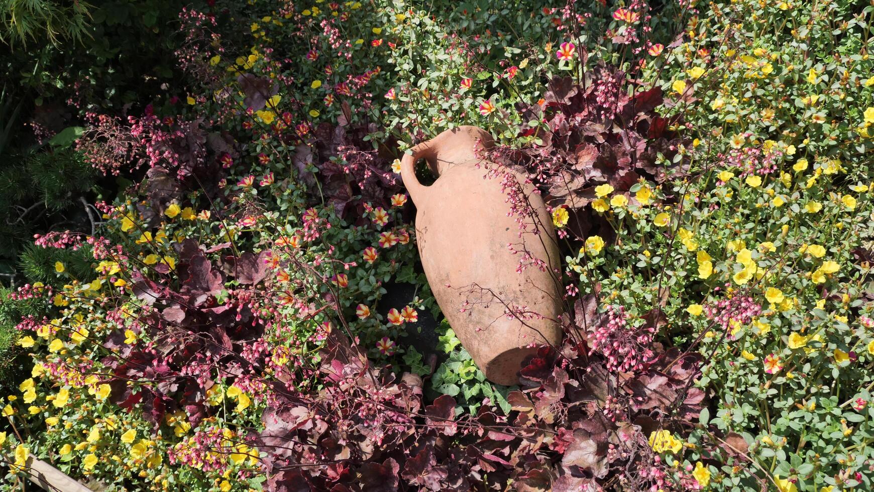 Colorful wildflowers surround a rustic clay pot nestled in a vibrant garden on a sunny afternoon in early spring photo