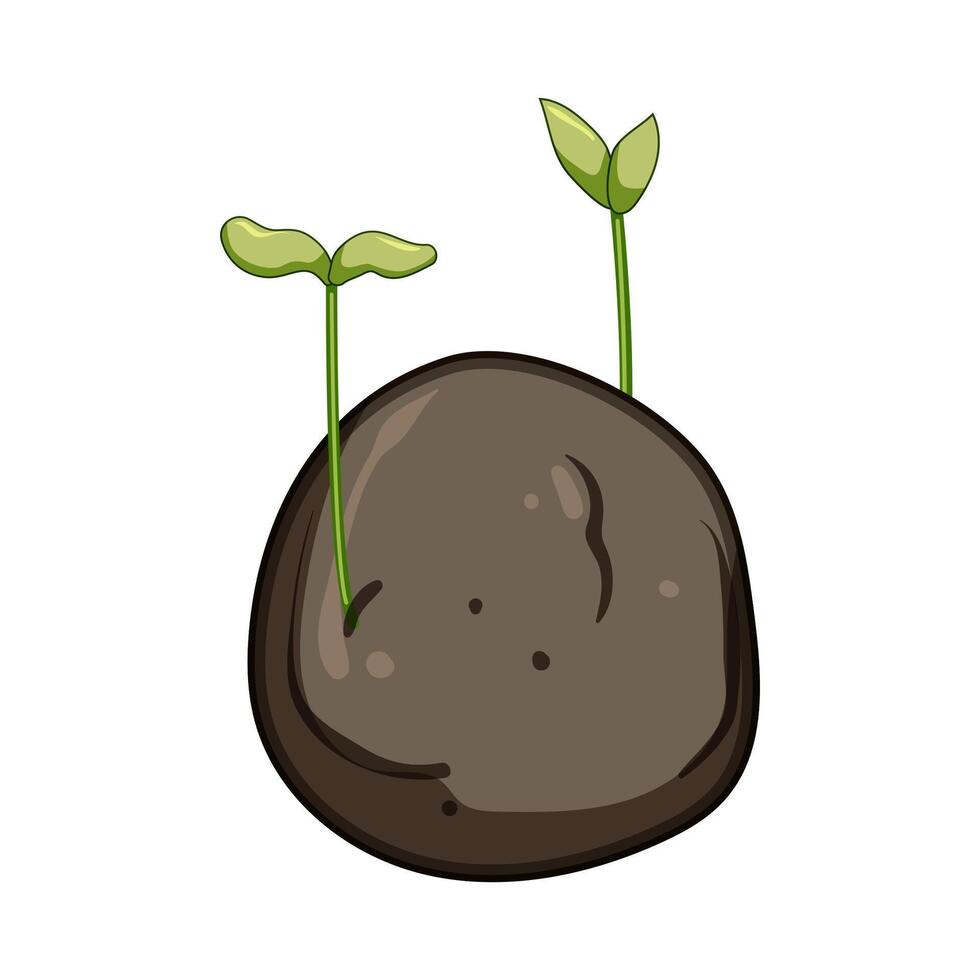 wildflowers grass seed bomb cartoon illustration vector