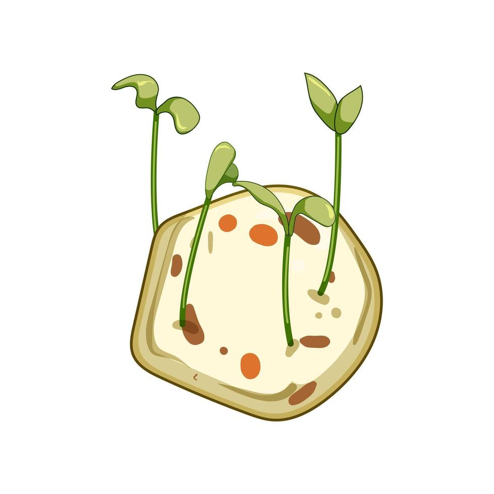 habitat grass seed bomb cartoon illustration vector