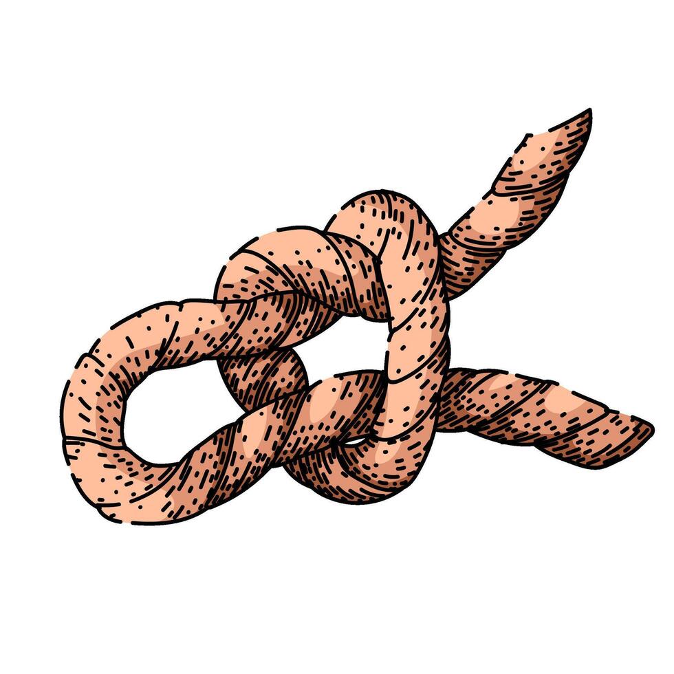 hitch rope knot sketch hand drawn vector
