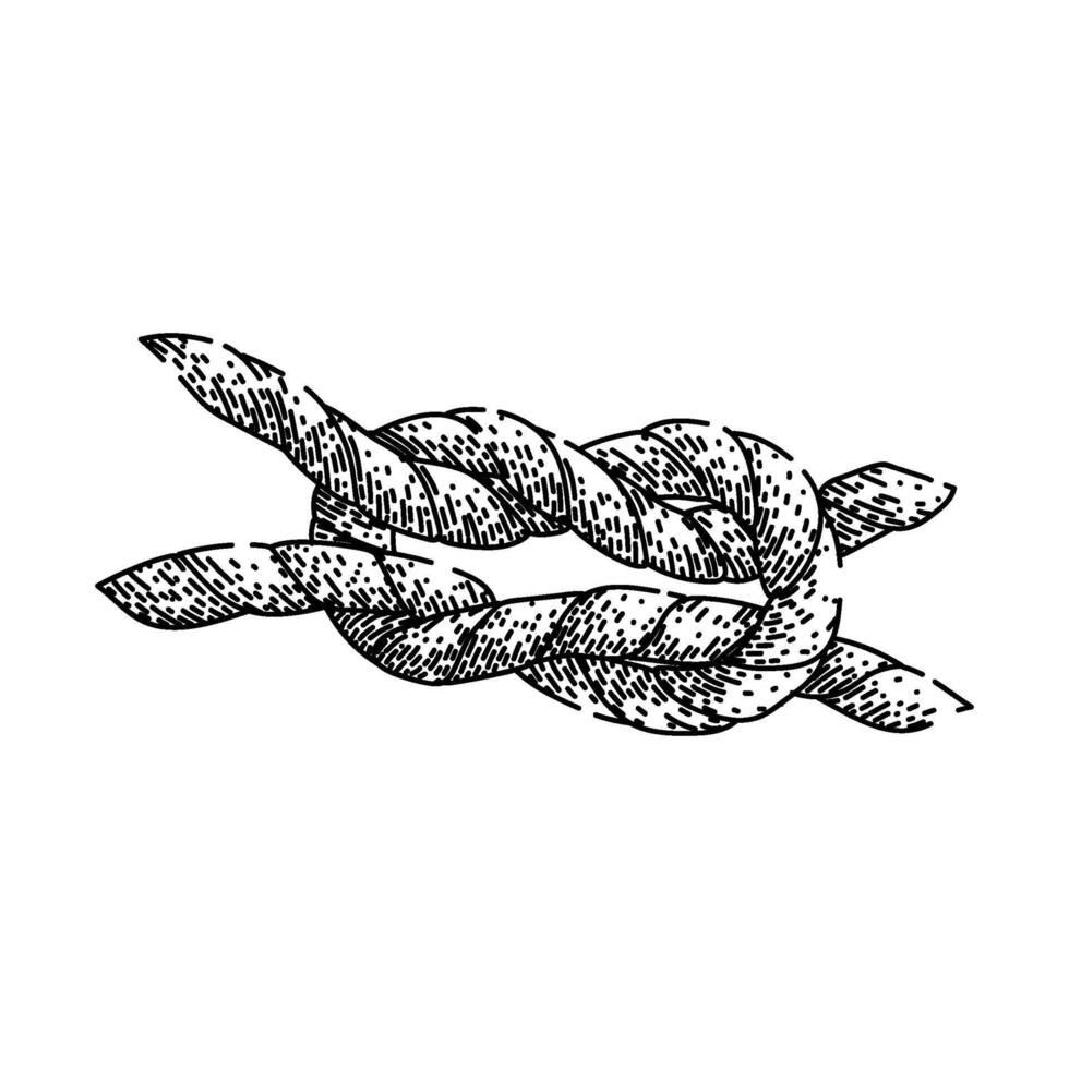 sheet rope knot sketch hand drawn vinage vector