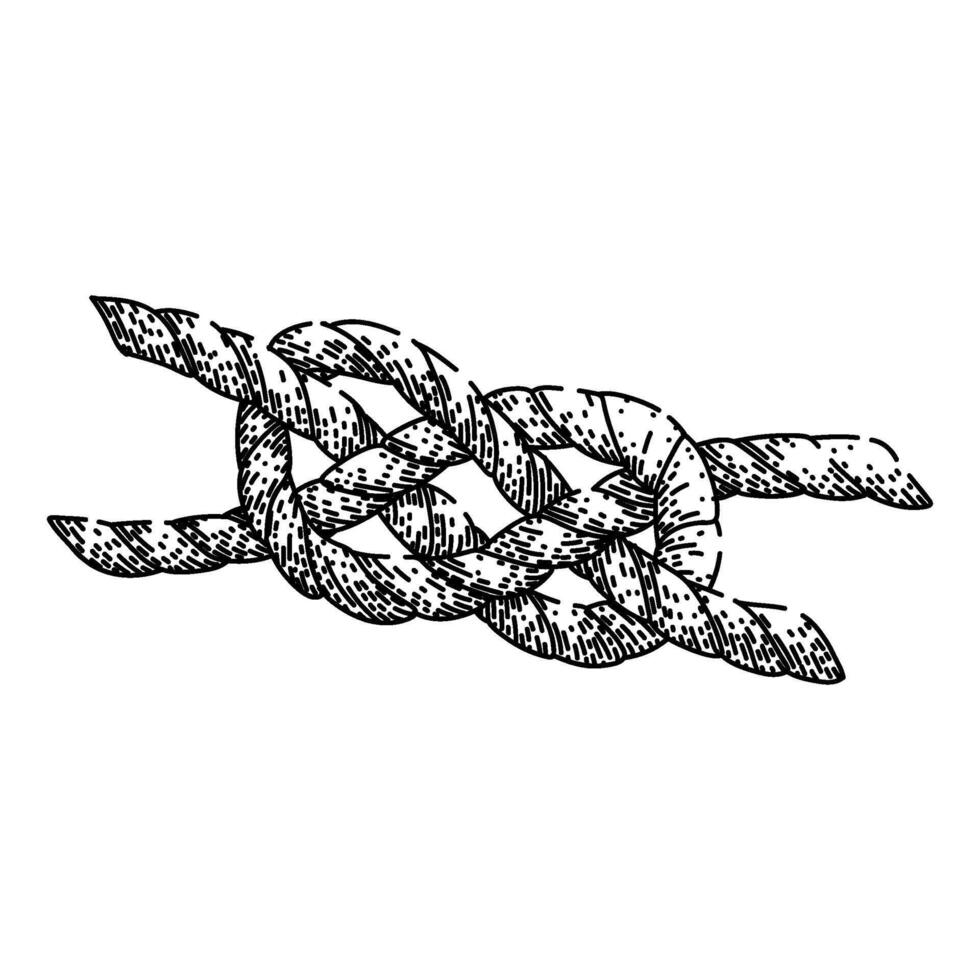 reef rope knot sketch hand drawn vinage vector