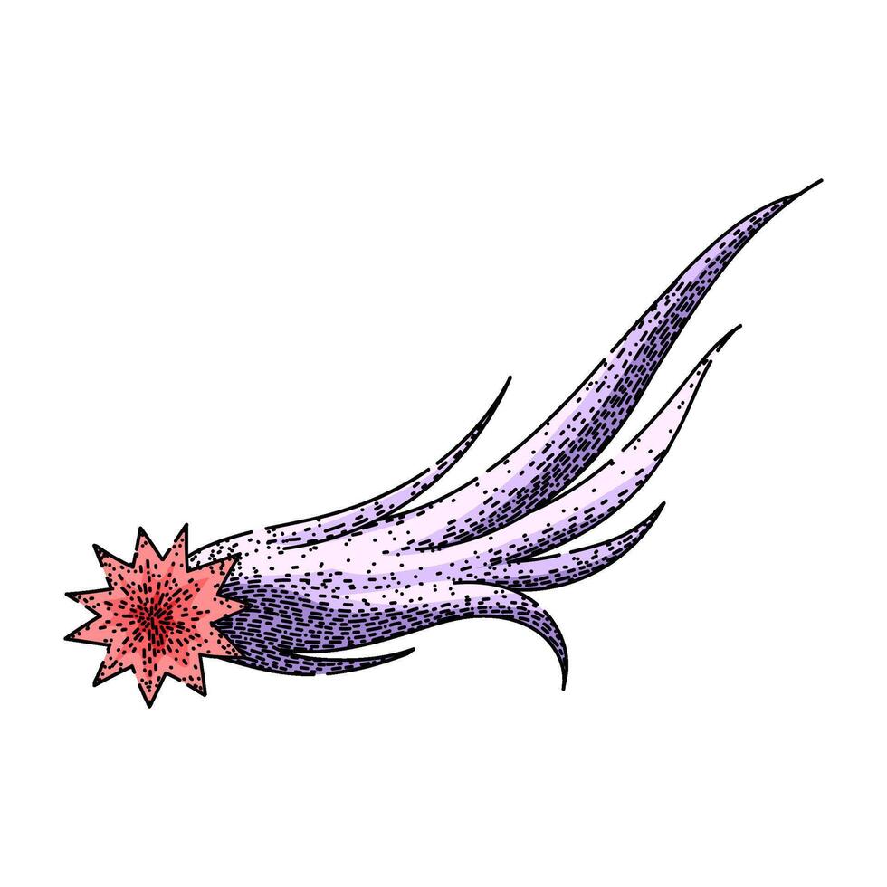 night star sketch hand drawn vector