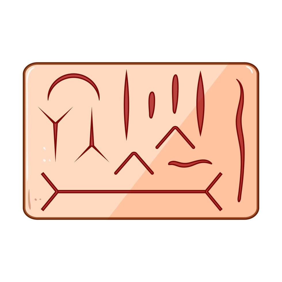kit suture practice pad cartoon illustration vector