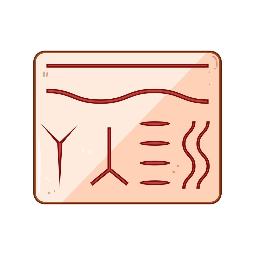 education suture practice pad cartoon illustration vector