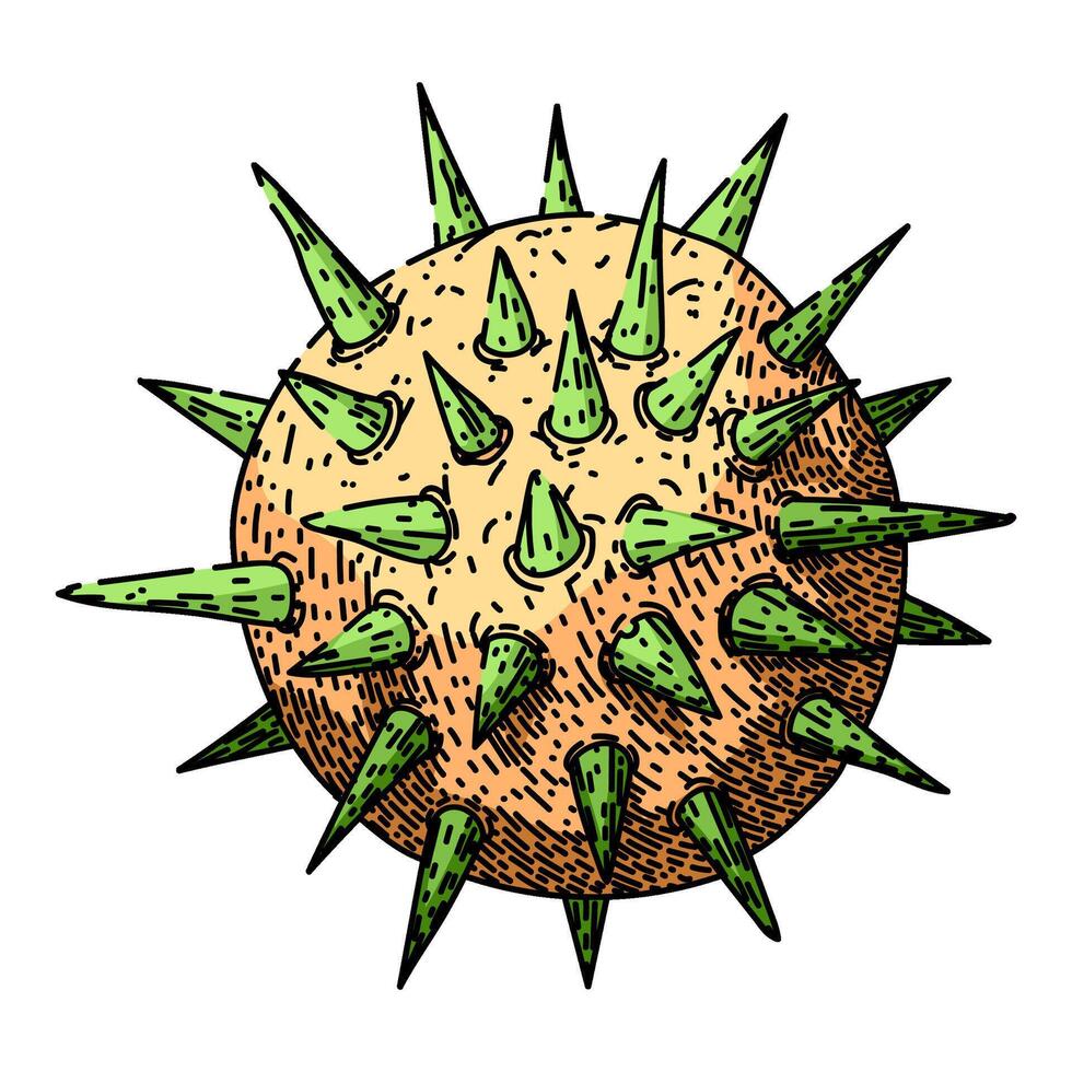 beach virus hand drawn vector