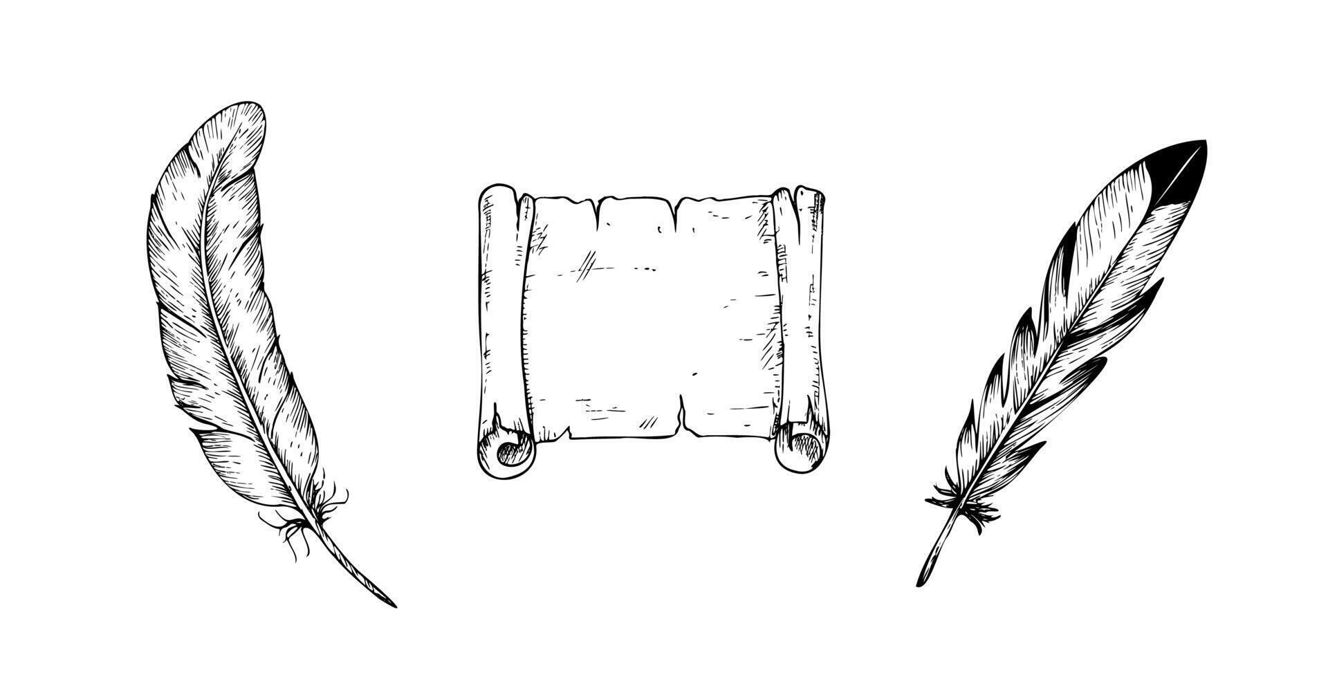 old scroll paper with bird feather pens. Hand painted linear parchment illustration. Graphic monochrome sketch isolated on background. For designers, prints, logo, icon, menu, postcards vector