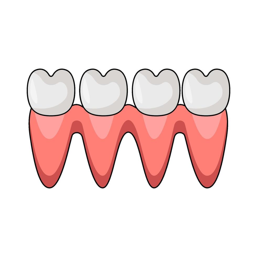 illustration of Gingiva vector