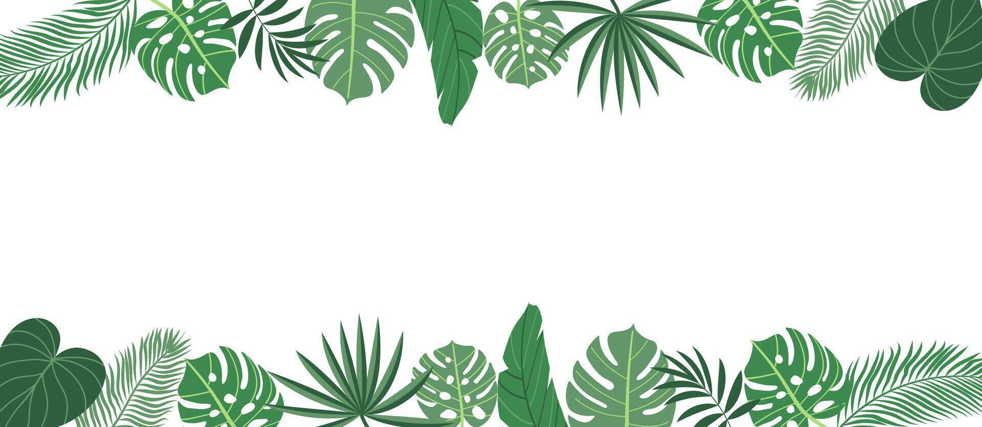 Tropical plant leaves summer backgruonds. Modern botanical illustration of monstera, palm leaf, banana leaf hibiscus. horizontal background vector