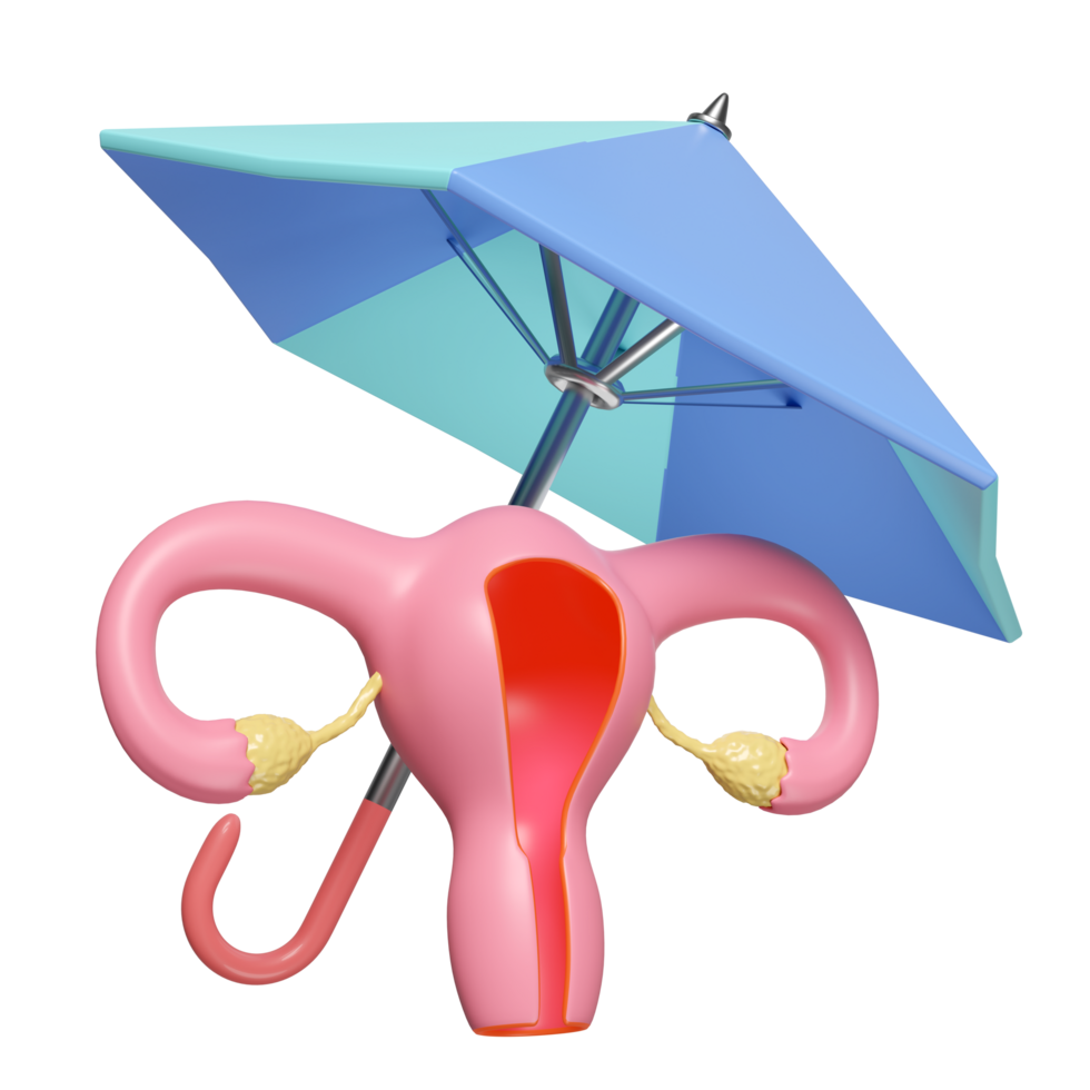3d umbrella protecting uterus model isolated. health love, medicare concept, 3d illustration render png