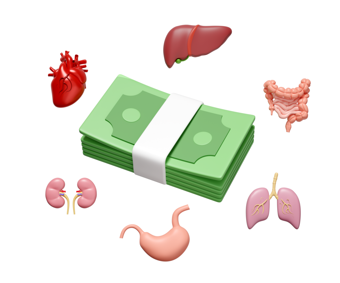 Money for medical expenses concept with stack of banknotes, Heart, liver, lungs, intestine, kidney, stomach isolated. 3d illustration render png