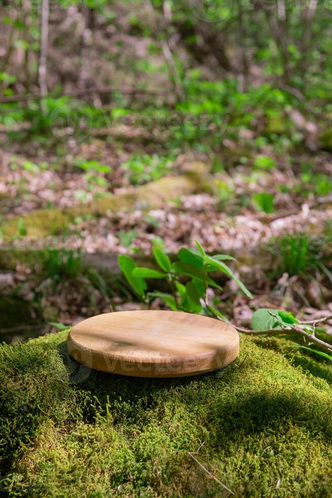 Wooden podium rests on mossy ground in a tranquil forest setting surrounded by greenery and natural beauty photo